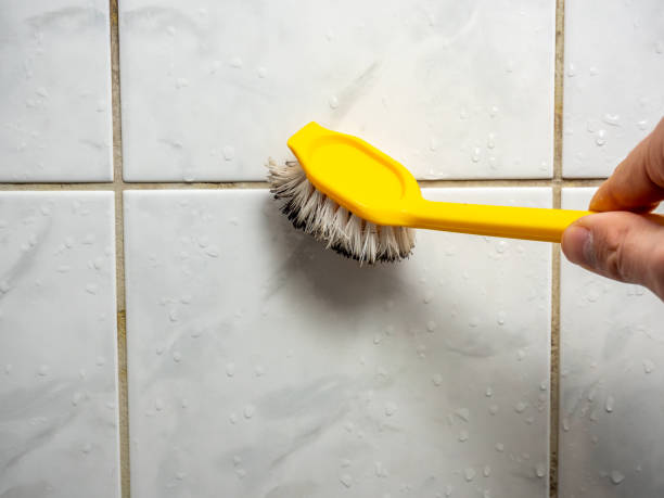 Mold Removal Process in Indian Wells, CA