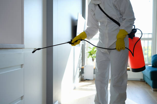 Mold Testing and Removal in Indian Wells, CA